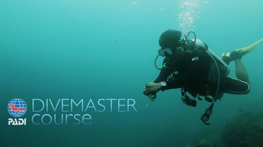 PADI Divemasterkurs