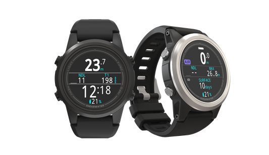 Shearwater Tern und Tern TX