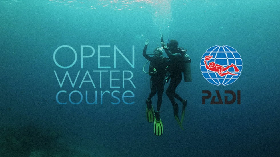 Open Water Diver Kurs (Anfängerkurs)