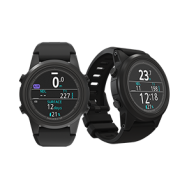 Shearwater Tern und Tern TX