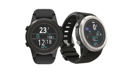 Shearwater Tern und Tern TX